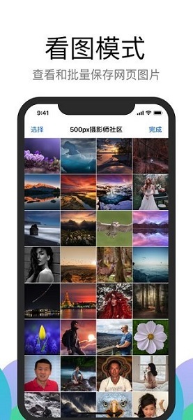 alook浏览器ios版截图6